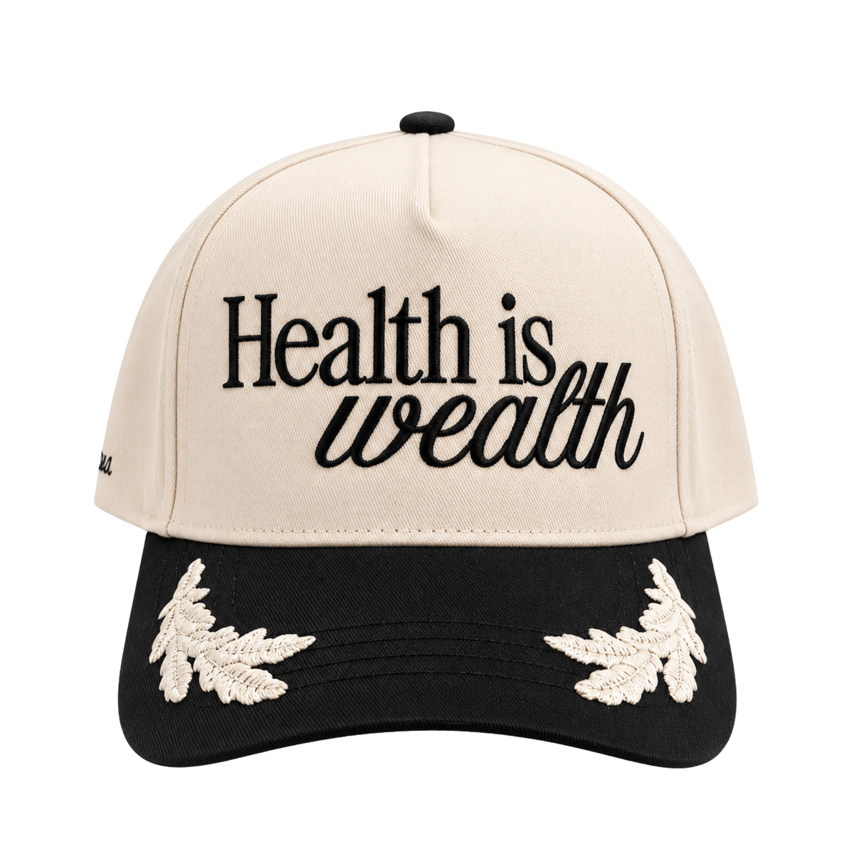 Health is Wealth